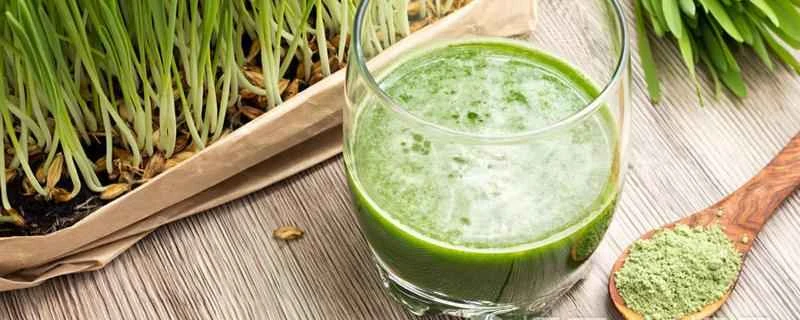 大麦若葉ジュースはカロリーが高いですか？夜に大麦若葉ジュースを飲むと太りますか？