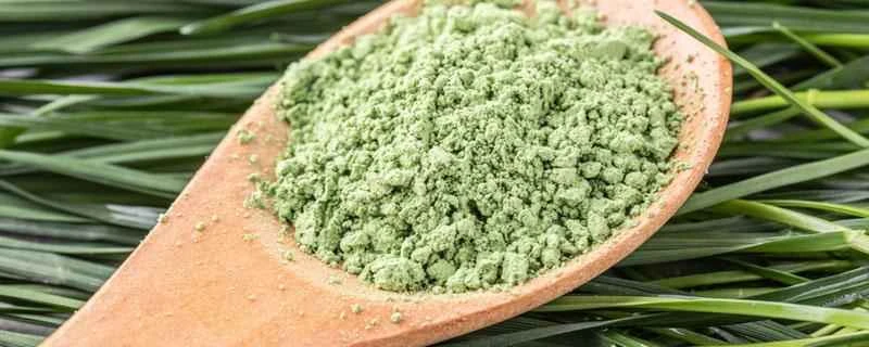 大麦若葉ジュースは尿酸値を下げることができますか？高尿酸値の症状は何ですか？