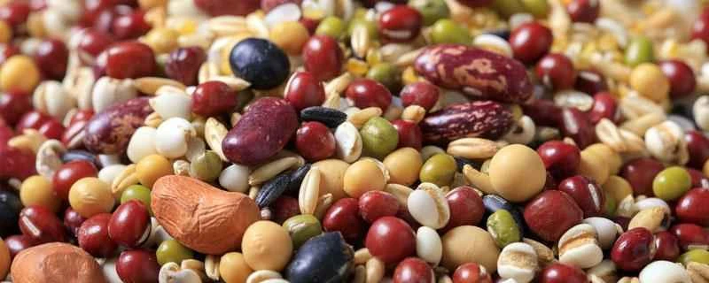 全粒粉ビスケットのカロリーはどれくらいですか？全粒粉ビスケットは減量に役立ちますか？