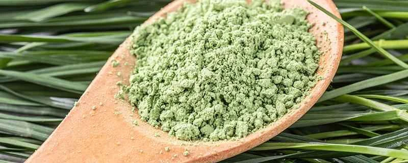 体内に湿度が高いのですが、グリーンジュースを飲んでも大丈夫ですか？グリーンジュースは肝臓に良いですか？