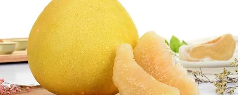 グレープフルーツを食べると減量に効果がありますか？ 最も効果的に減量するには、どのようにグレープフルーツを食べればよいでしょうか？