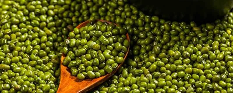 ダイエット中に緑豆を食べてはいけないのはなぜですか？緑豆は減量に効果があるのでしょうか？それとも体重増加の原因になるのでしょうか？