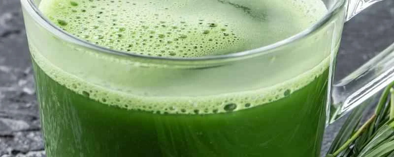 賞味期限を2ヶ月過ぎても大麦若葉ジュースを飲んでも大丈夫ですか？大麦若葉ジュースの賞味期限はどれくらいですか？