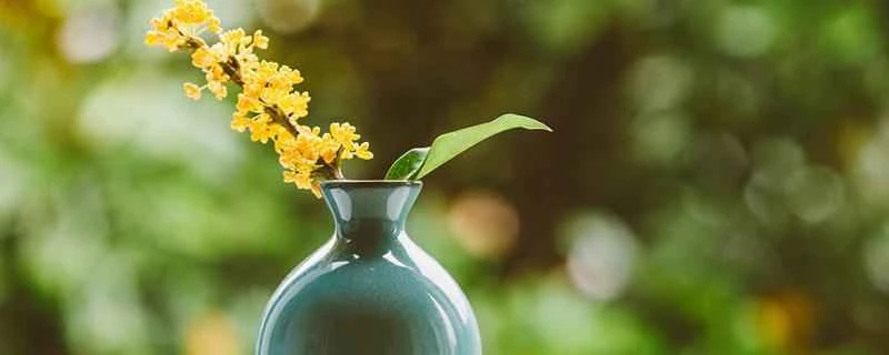 秋になると体重が増え始めるのはなぜでしょうか？どうすればいいでしょうか？