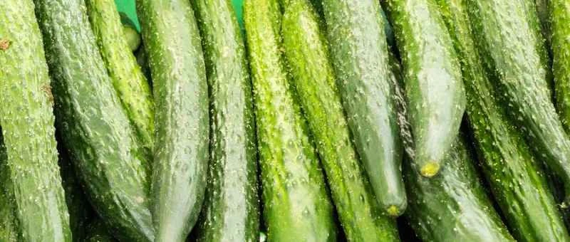 きゅうりのカロリーはどれくらいですか？ダイエット中にきゅうりを食べても大丈夫ですか？