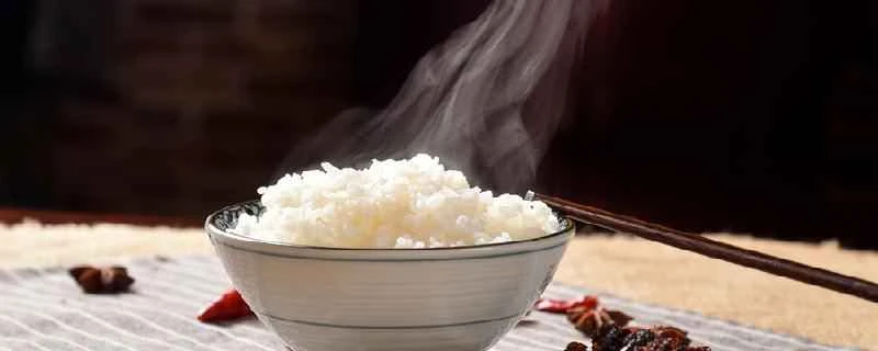 1日何も食べないとどれくらい体重が減りますか？ 1日何も食べないことで健康にどんなリスクがありますか？