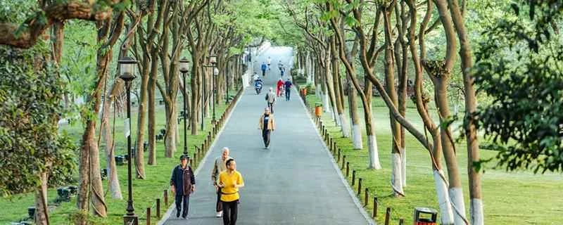 朝の運動は減量に役立ちますか？ 朝の運動と夜の運動のどちらが減量に効果的ですか？