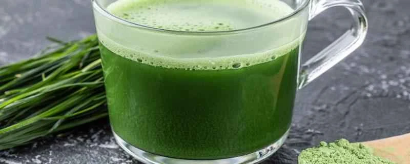 大麦若葉ジュースを飲むと体重は増えますか？大麦若葉ジュース1袋のカロリーはどれくらいですか？