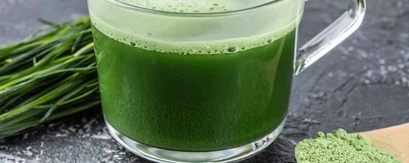 大麦若葉ジュースは空腹時に飲んでも大丈夫ですか? 大麦若葉ジュースの禁忌は何ですか?