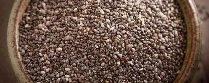 減量のためにチアシードを正しく食べる方法: カロリーの高いチアシードがなぜ減量に役立つのでしょうか?