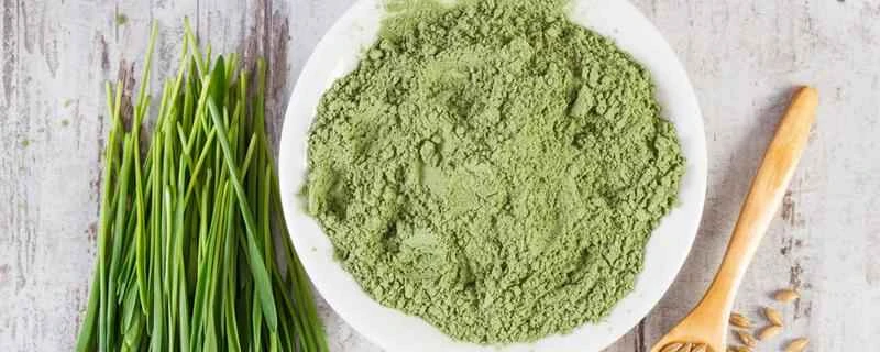 大麦若葉ジュースは美味しいですか？ダイエットに効果はありますか？