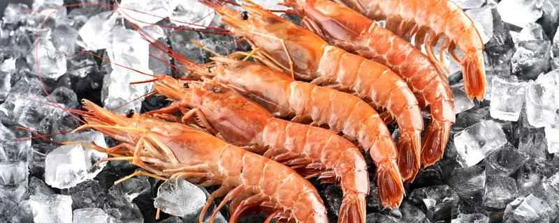 エビと魚では、どちらのカロリーが高いでしょうか？ダイエット中は1日に何匹のエビを食べても大丈夫でしょうか？