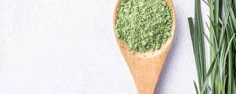 風邪をひいているときに大麦若葉ジュースを飲んでも大丈夫ですか？大麦若葉ジュースにはどんな効果がありますか？