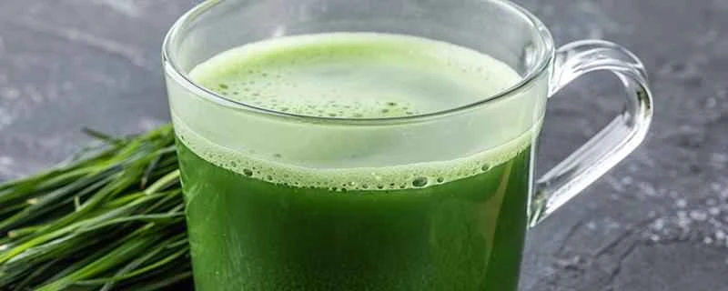 大麦若葉ジュースで痩せるには？大麦若葉ジュースと牛乳を一緒に飲んでも大丈夫？