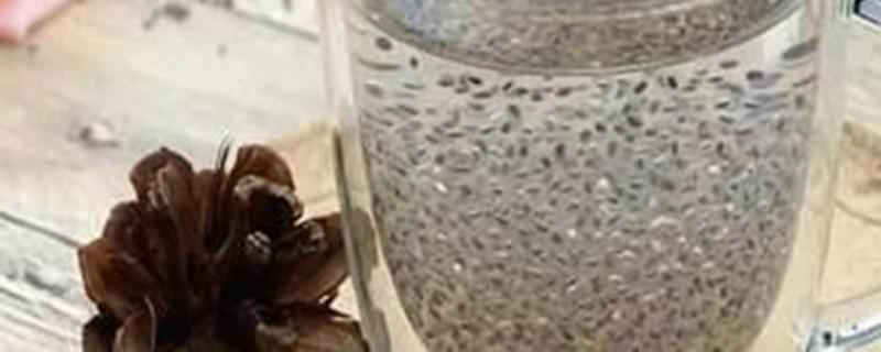 チアシードを1週間飲むとどれくらい痩せられますか？チアシードをどうやって食べて痩せますか？