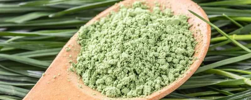 心臓病の人は大麦若葉ジュースを飲んでも大丈夫ですか？どのような人は大麦若葉ジュースの飲用を避けるべきでしょうか？