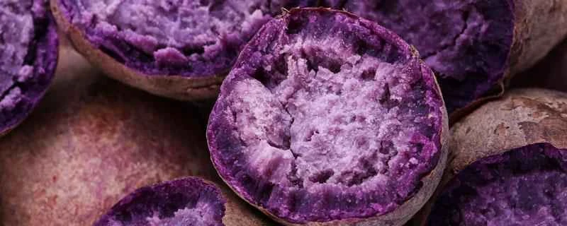 紫芋はダイエットのための食事代替として使えますか？ダイエットのために紫芋を食べるのに最適な時間はいつですか？