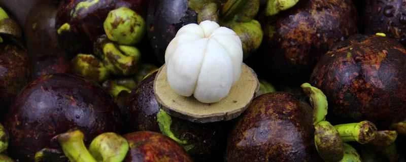 マンゴスチンは減量に役立ちますか？減量中にマンゴスチンを食べると体重が増えますか？