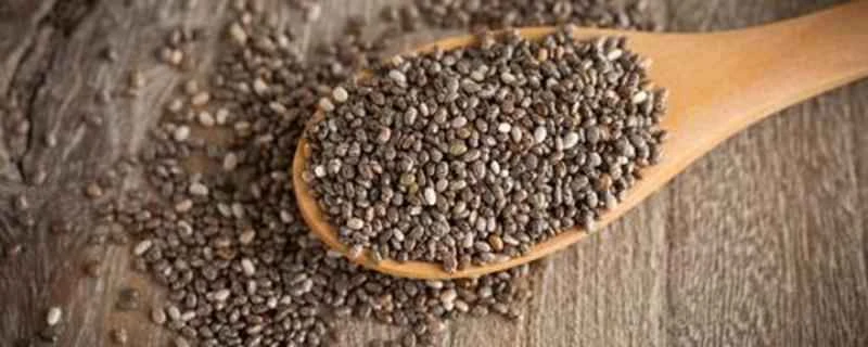 チアシードの効能と使い方は何ですか？毎日チアシードだけを食べるだけで、どうやって痩せられるのでしょうか？