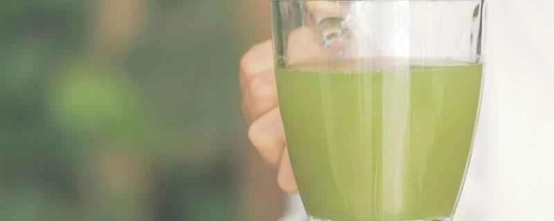 ダイエットのための大麦若葉ジュースの正しい飲み方。大麦若葉ジュースはダイエットに効果があるのでしょうか？