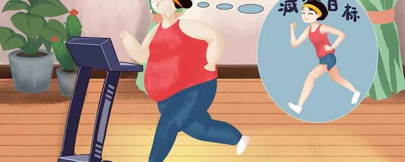 夕食を抜くのは正しいダイエット方法でしょうか？正しいダイエット方法や食事法とは？