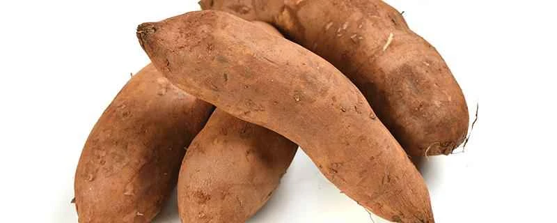 食後にヤーコンを食べると減量に効果がありますか？減量中に夜にヤーコンを食べても大丈夫ですか？